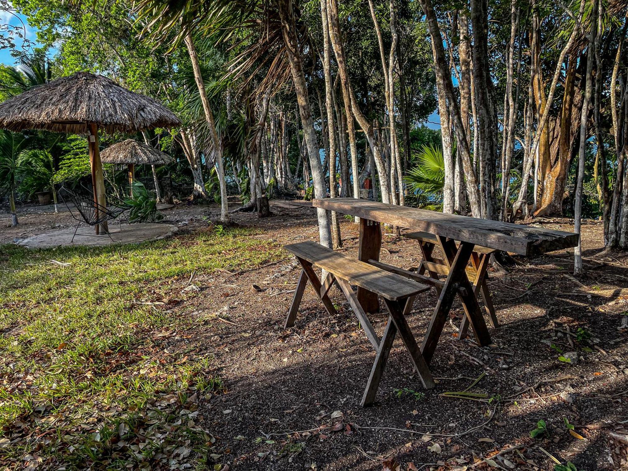 Bufo Alvarius Sanctuary Bacalar Buenavista  Exterior photo